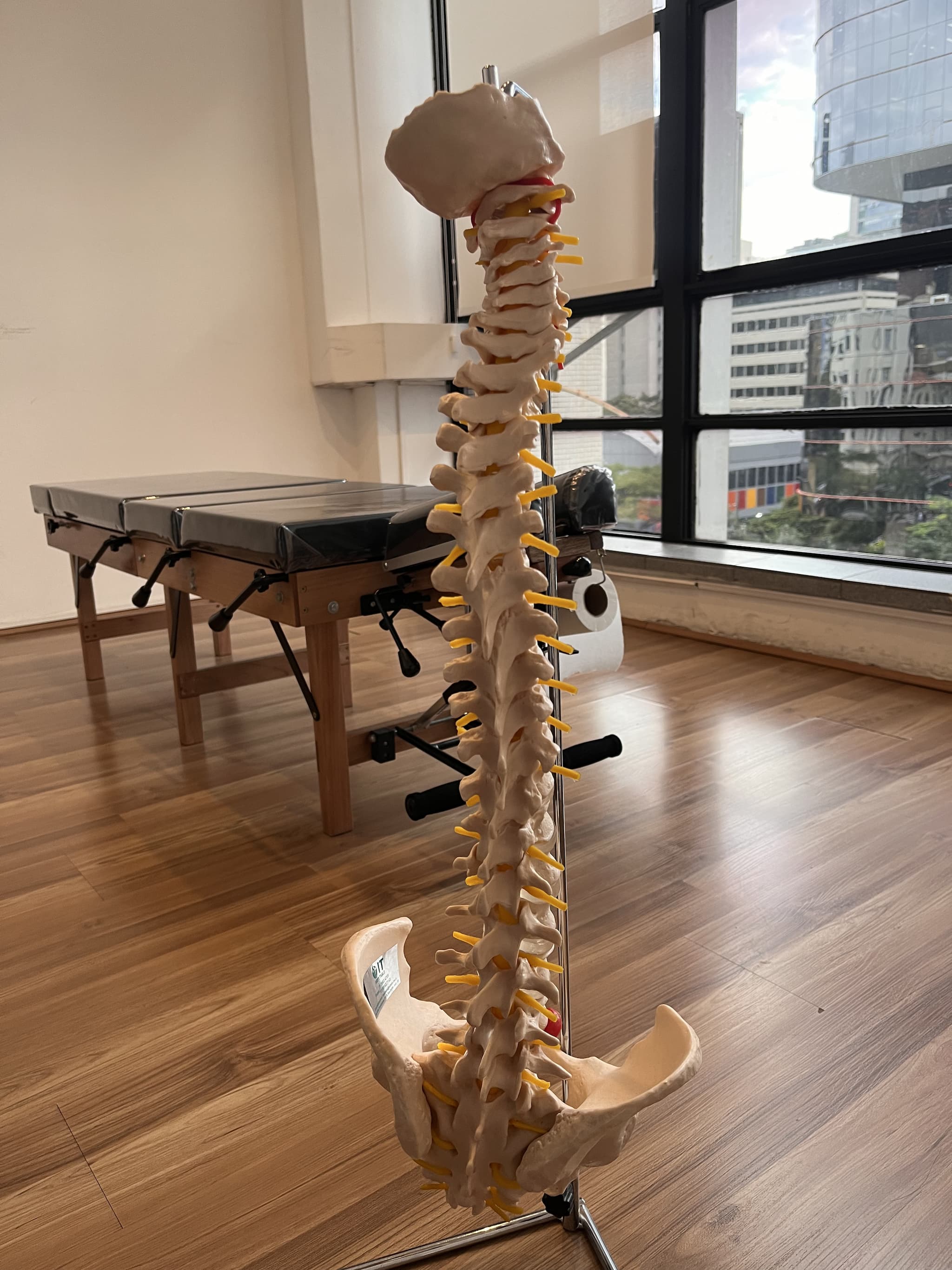 Foto de uma coluna de plástico em uma das salas da clinica Quiropraxia Paulista, unidade da Paulista